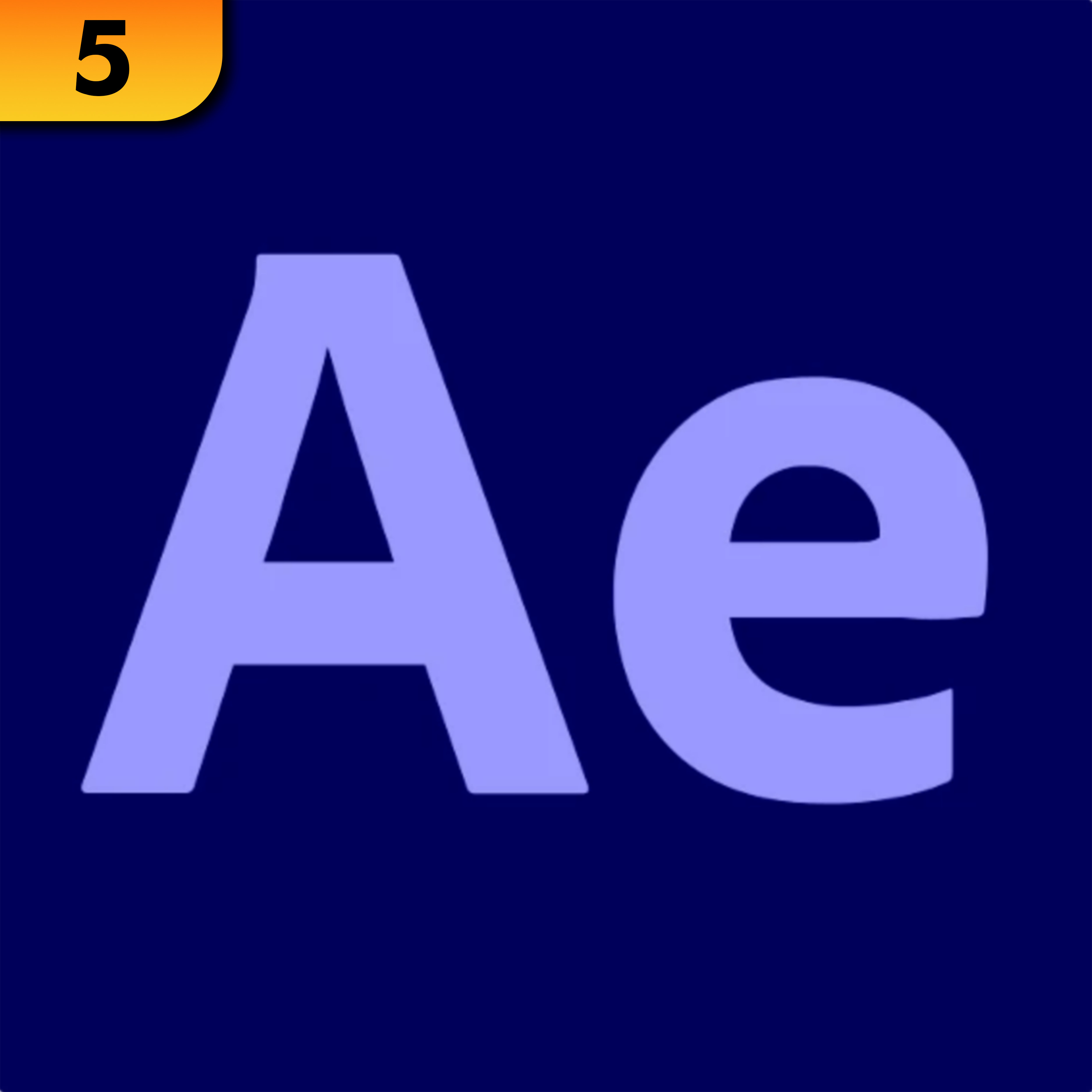 Image 5